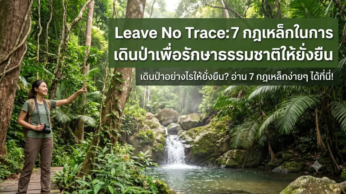 Leave No Trace: 7 กฎเหล็กในการเดินป่าเพื่อรักษาธรรมชาติให้ยั่งยืน